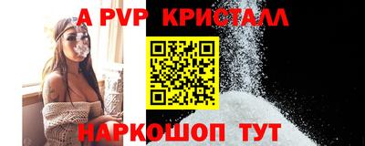 стаф Кунгур