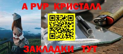 стаф Кунгур