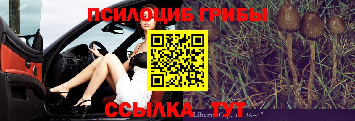 Галлюциногенные грибы Psilocybine cubensis  Вход с VPN  Ступино 
